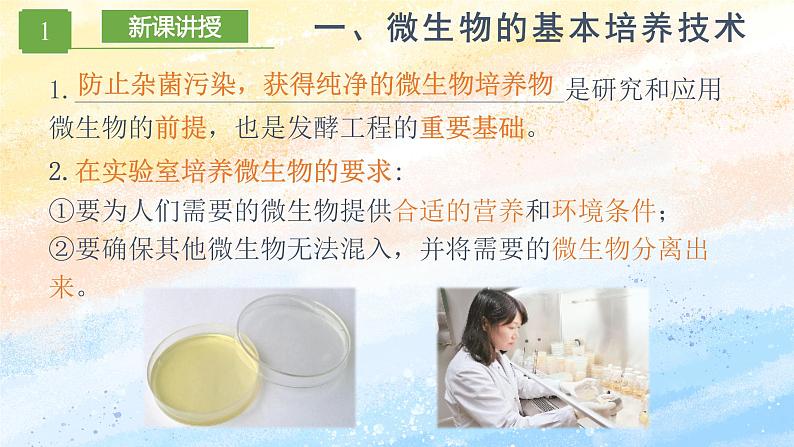 1.2.1微生物的基本培养技术高二生物(人教版2019选择性必修3) 课件+学案05
