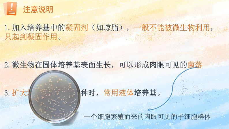 1.2.1微生物的基本培养技术高二生物(人教版2019选择性必修3) 课件+学案07