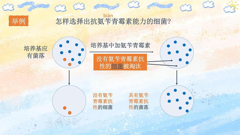 1.2.2 微生物的选择培养和计数第5页