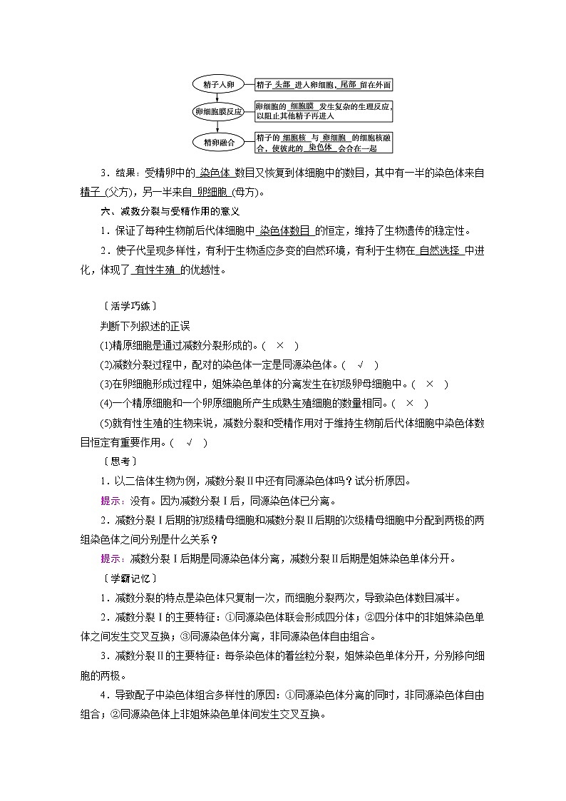 高中生物第二册 学案.第2章 第1节 减数分裂和受精作用第3页