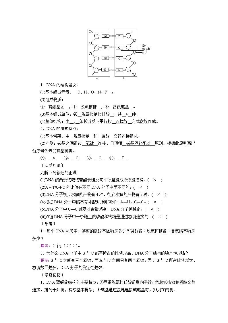 高中生物第二册 学案.第3章 第2节 DNA的结构第2页