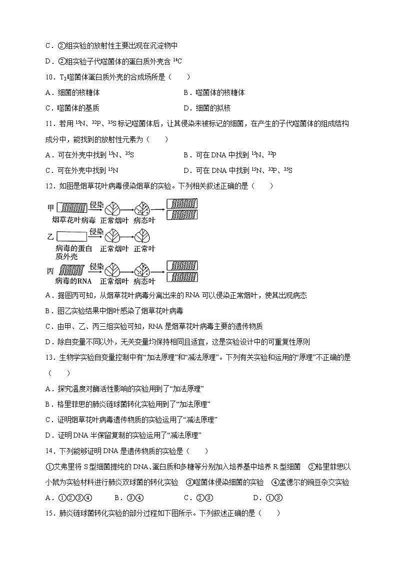 高中生物第二册 3.1DNA是主要的遗传物质课后作业第3页