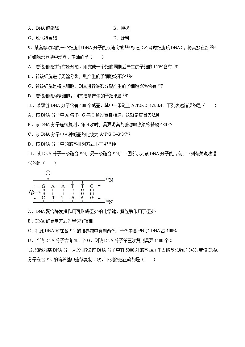 高中生物第二册 3.3DNA的复制课后作业第3页