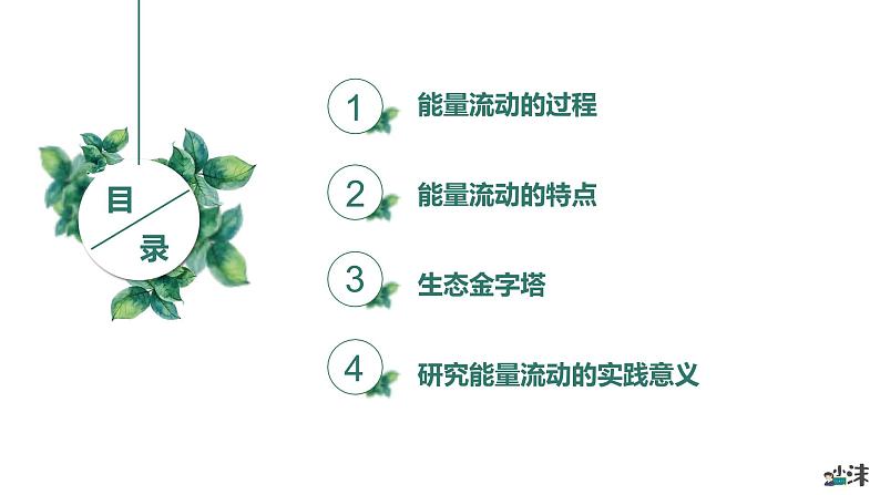 高中生物选择性必修二 3.2 生态系统的能量流动(第一课时)精品课件03