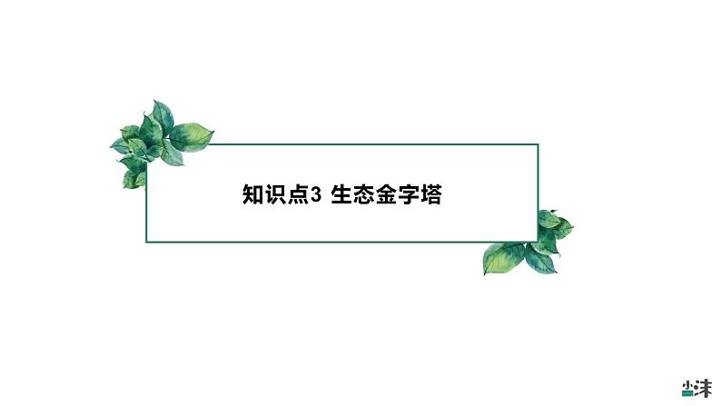 高中生物选择性必修二 3.2 生态系统的能量流动(第二课时)精品课件第4页