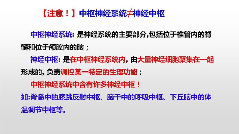 高中生物选择性必修一 2.1 神经调节的结构基础 课件第8页