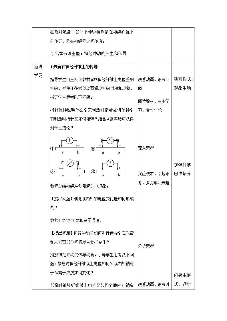 高中生物选择性必修一 2.3《神经冲动的产生和传导》教案02