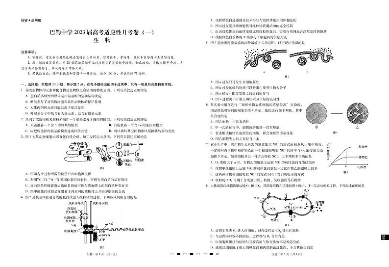 重庆市巴蜀中学2023届高考适应性月考卷(一)生物试卷+PDF版含答案01