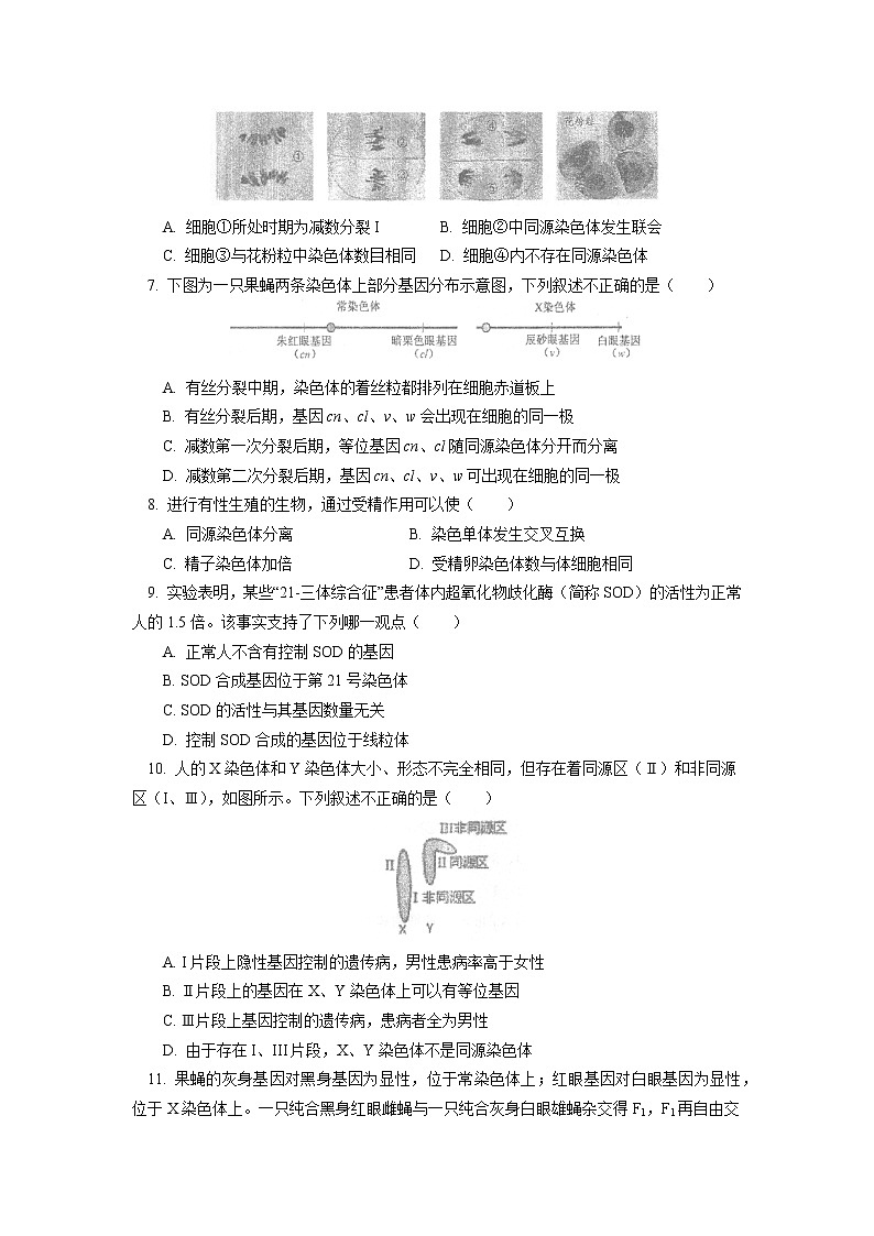 2022北京市北京师大附中高一下学期期末考试生物试卷含答案02