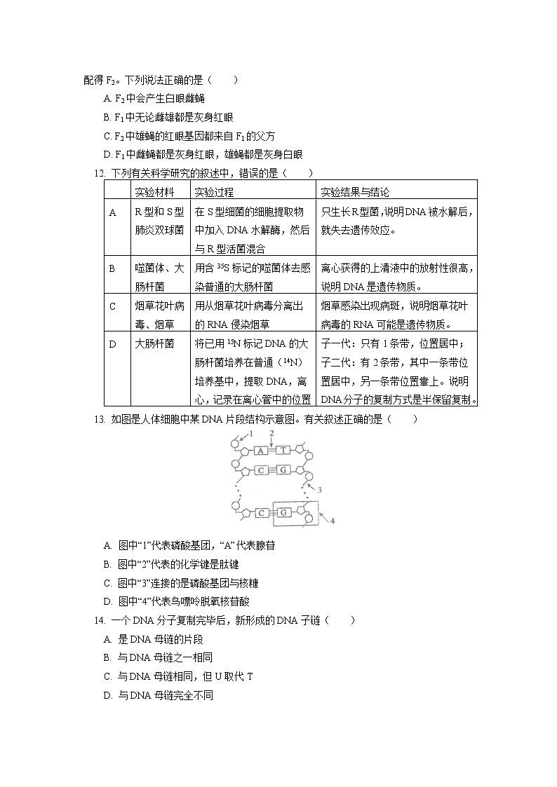 2022北京市北京师大附中高一下学期期末考试生物试卷含答案03