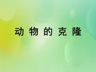 浙科版 2019 高中选修3生物 2.3 动物的克隆 课件