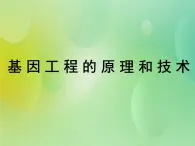 浙科版 2019 高中选修3生物 1.2 基因工程的原理和技术 课件