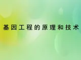 浙科版 2019 高中选修3生物 1.2 基因工程的原理和技术 课件