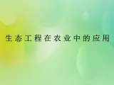 浙科版 2019 高中选修3生物 5.2 生态工程在农业中的应用 课件