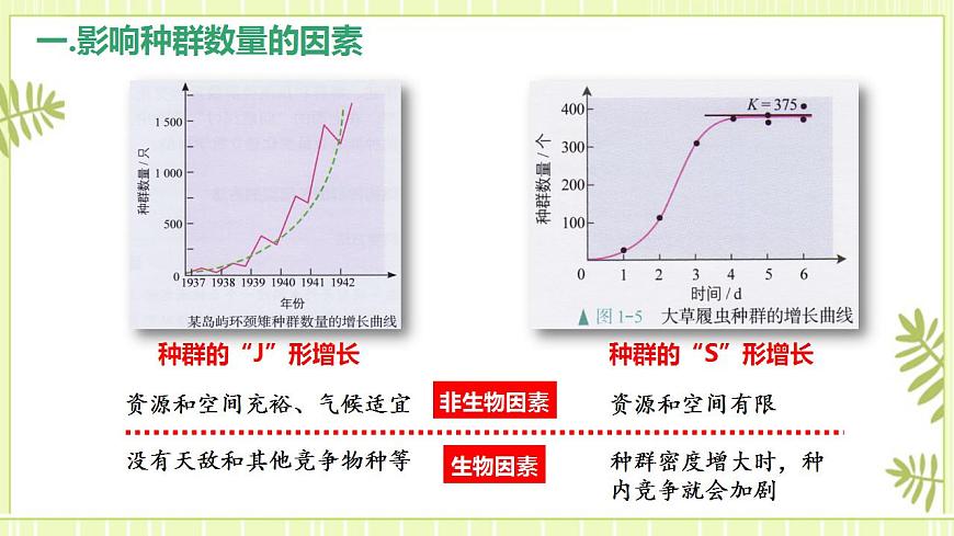1.3影響種群數(shù)量變化的因素課件高中生物人教版（2019）選擇性必修二第5頁