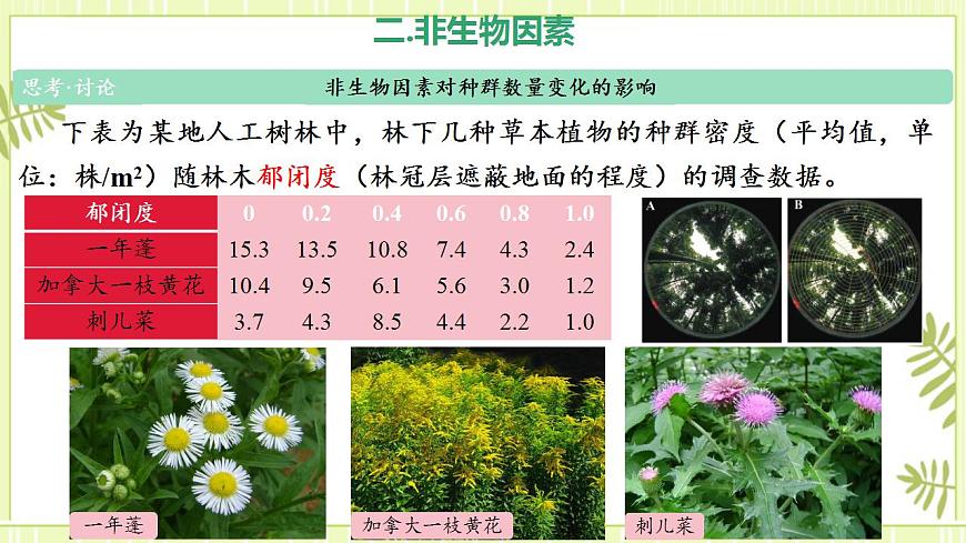1.3影響種群數(shù)量變化的因素課件高中生物人教版（2019）選擇性必修二第7頁