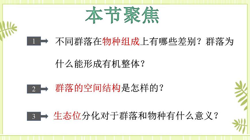 2.1群落的結構課件高中生物人教版（2019）選擇性必修二第2頁