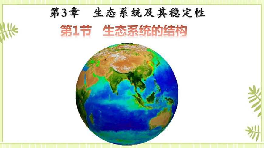 3.1生態(tài)系統(tǒng)的結(jié)構(gòu)課件高中生物人教版（2019）選擇性必修二第1頁(yè)