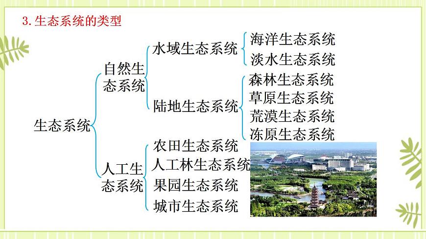 3.1生態(tài)系統(tǒng)的結(jié)構(gòu)課件高中生物人教版（2019）選擇性必修二第5頁(yè)