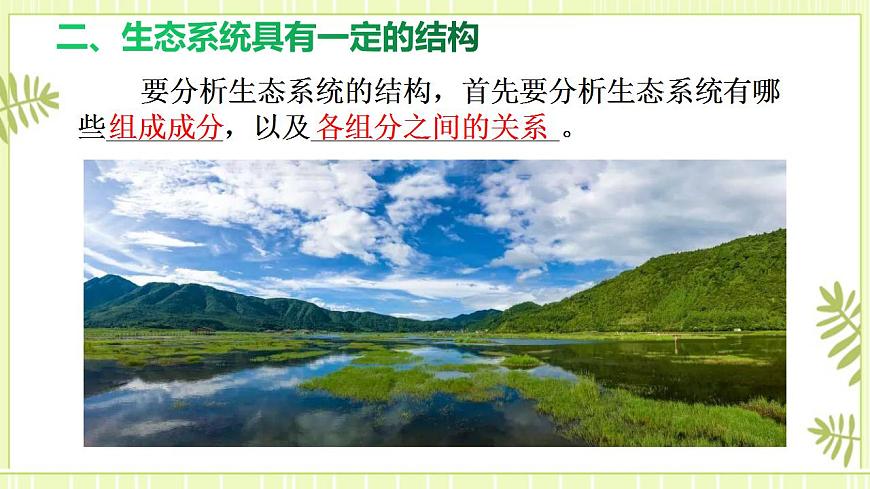 3.1生態(tài)系統(tǒng)的結(jié)構(gòu)課件高中生物人教版（2019）選擇性必修二第6頁(yè)
