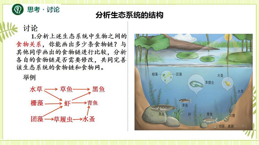 3.1生態(tài)系統(tǒng)的結(jié)構(gòu)課件高中生物人教版（2019）選擇性必修二第8頁(yè)
