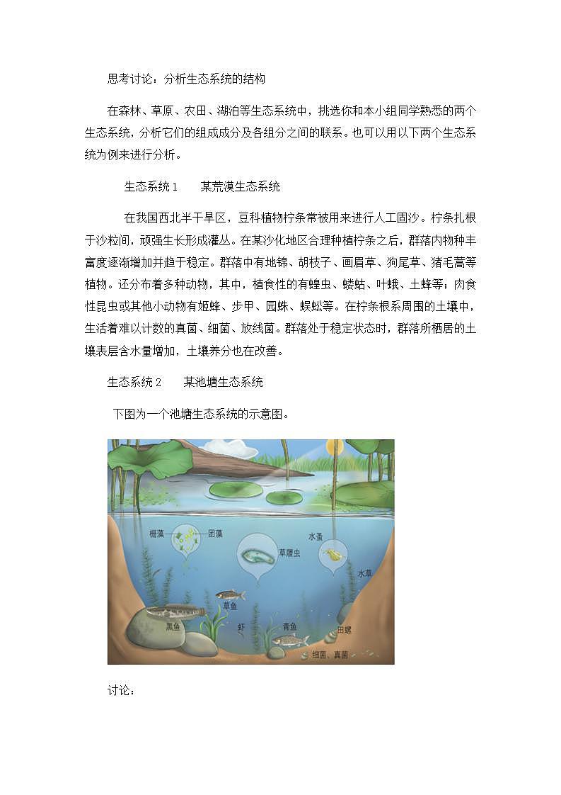 3.1生态系统的结构 课件+教案 人教版高中生物选择性必修二03