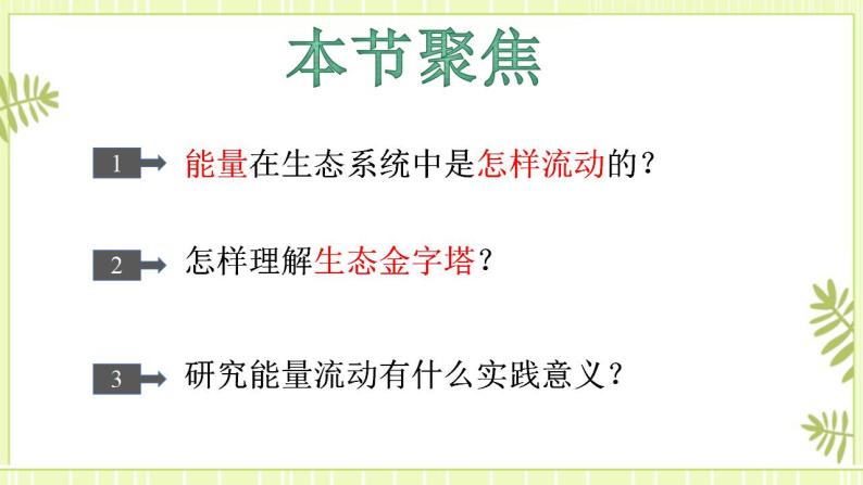 3.2生态系统的能量流动 课件+教案 人教版高中生物选择性必修二02