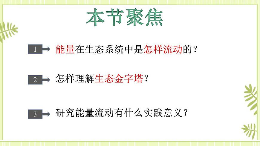 3.2生態(tài)系統(tǒng)的能量流動課件高中生物人教版（2019）選擇性必修二第2頁