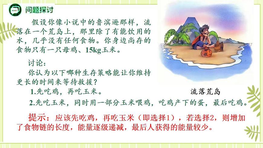 3.2生態(tài)系統(tǒng)的能量流動課件高中生物人教版（2019）選擇性必修二第3頁