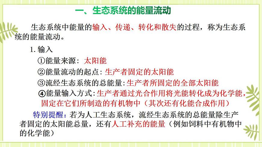 3.2生態(tài)系統(tǒng)的能量流動課件高中生物人教版（2019）選擇性必修二第4頁