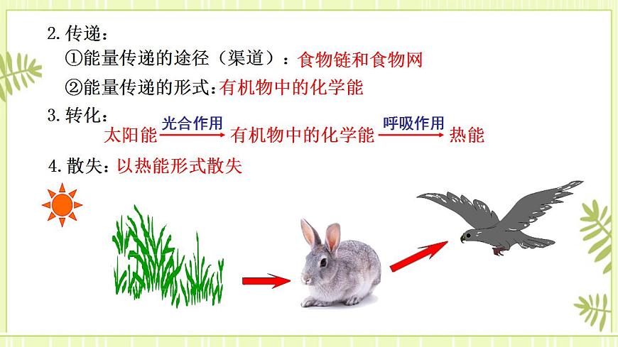 3.2生態(tài)系統(tǒng)的能量流動課件高中生物人教版（2019）選擇性必修二第5頁