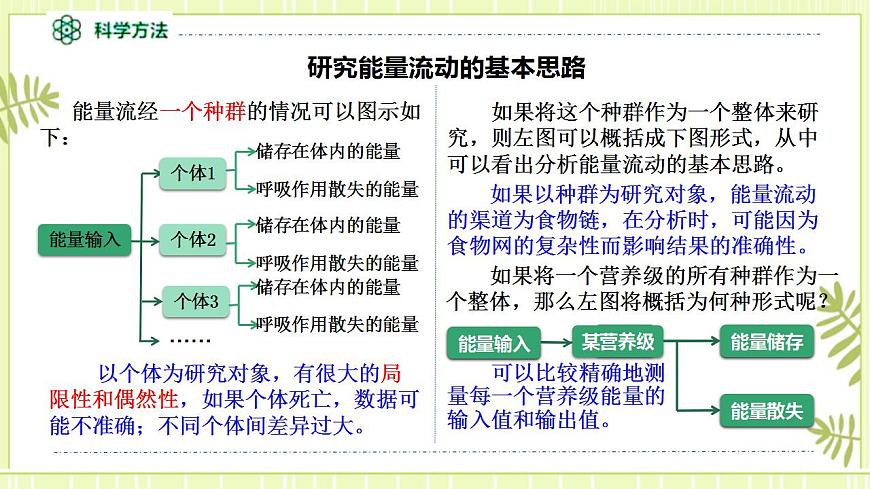 3.2生態(tài)系統(tǒng)的能量流動課件高中生物人教版（2019）選擇性必修二第6頁