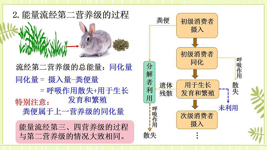 3.2生態(tài)系統(tǒng)的能量流動課件高中生物人教版（2019）選擇性必修二第8頁