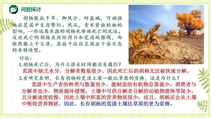 3.3生態(tài)系統(tǒng)的物質循環(huán)課件高中生物人教版（2019）選擇性必修二第3頁
