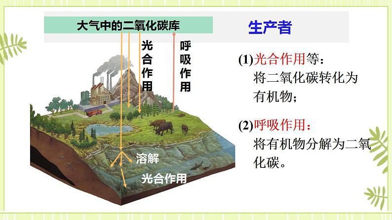 3.3生态系统的物质循环课件高中生物人教版(2019)选择性必修二第7页