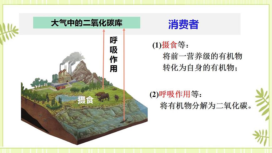 3.3生態(tài)系統(tǒng)的物質循環(huán)課件高中生物人教版（2019）選擇性必修二第8頁