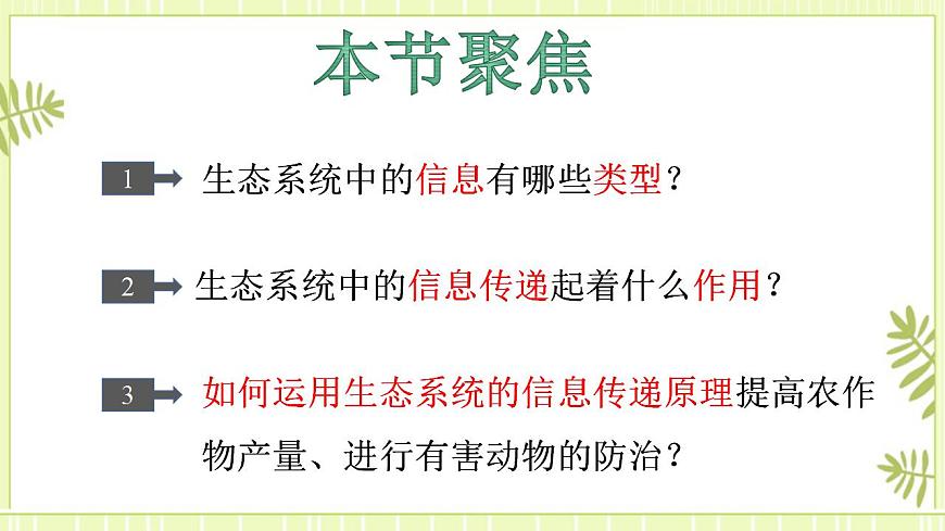 3.4 生態(tài)系統(tǒng)的信息傳遞 課件高中生物人教版（2019）選擇性必修二第2頁