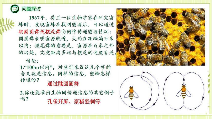 3.4 生態(tài)系統(tǒng)的信息傳遞 課件高中生物人教版（2019）選擇性必修二第3頁
