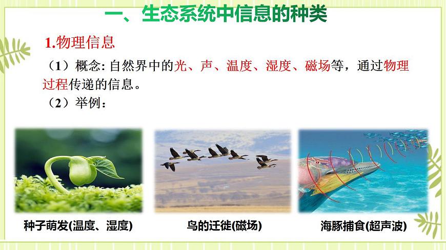 3.4 生態(tài)系統(tǒng)的信息傳遞 課件高中生物人教版（2019）選擇性必修二第6頁