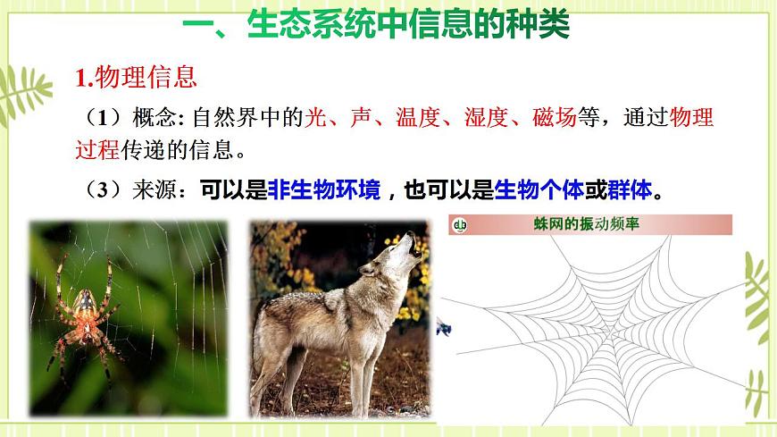 3.4 生態(tài)系統(tǒng)的信息傳遞 課件高中生物人教版（2019）選擇性必修二第7頁