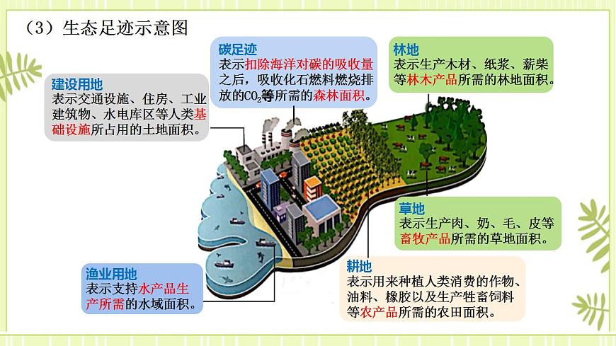 4.1 人類活動對生態(tài)環(huán)境的影響 課件高中生物人教版（2019）選擇性必修二第6頁