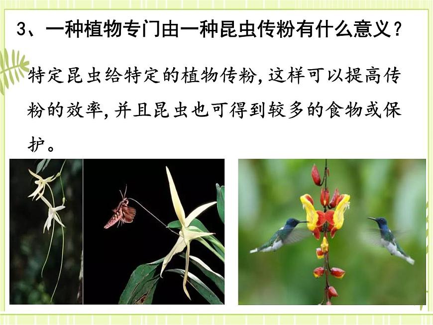 6.4  協(xié)同進(jìn)化與生物多樣性的形成 課件人教版（2019）高一生物必修二第5頁(yè)