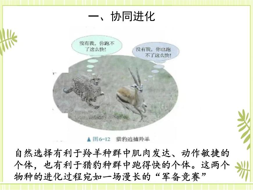6.4  協(xié)同進(jìn)化與生物多樣性的形成 課件人教版（2019）高一生物必修二第7頁(yè)