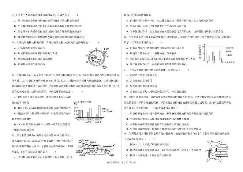 黑龙江省哈尔滨市第六中学2022-2023学年高三8月月考生物试题第2页