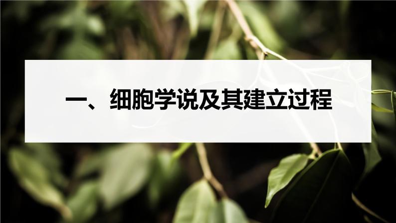 1.1细胞是生命活动的基本单位课件-2021-2022学年高一上学期生物人教版（2019）必修103