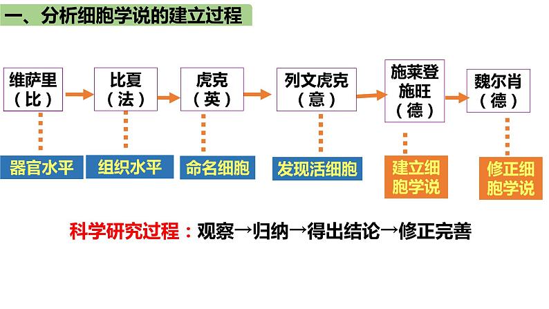 1.1细胞是生命活动的基本单位课件-2021-2022学年高一上学期生物人教版(2019)必修1第5页