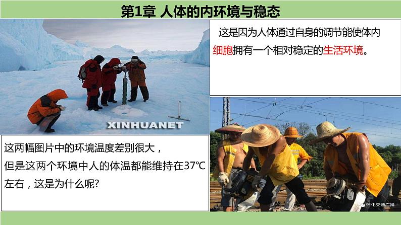 1.1细胞生活的环境-课件-2021-2022学年高二上学期生物人教版(2019)选择性必修1第1页