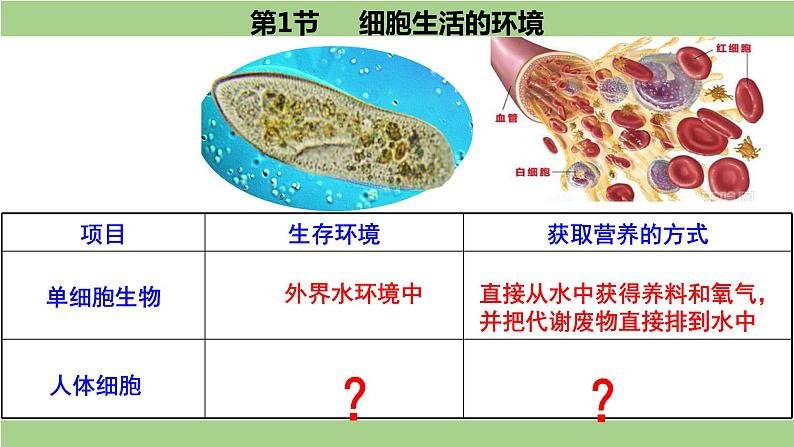 1.1细胞生活的环境-课件-2021-2022学年高二上学期生物人教版(2019)选择性必修1第2页