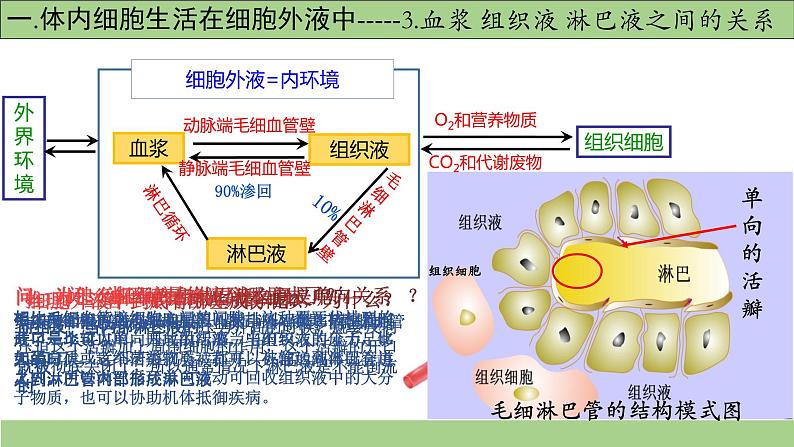 1.1细胞生活的环境-课件-2021-2022学年高二上学期生物人教版(2019)选择性必修1第6页