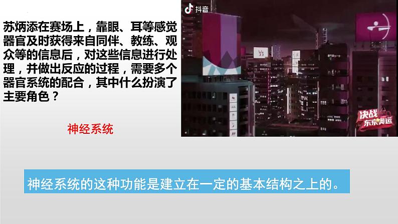 2022-2023学年高二上学期生物人教版选择性必修一2.1神经调节的结构基础课件第1页